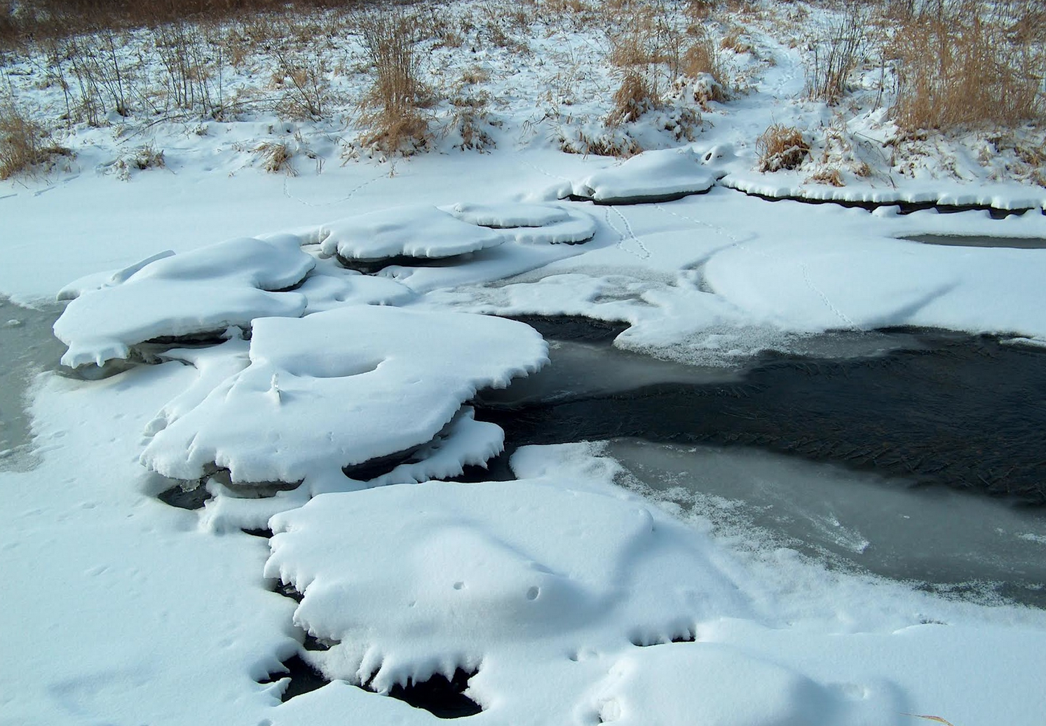 Snow on Flint Creek by Donna Bolzman